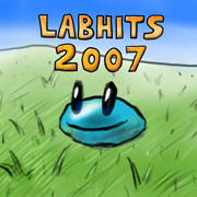 Album art for Labhits 2007