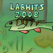 Album art for Labhits 2008